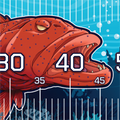 The Ambusha Brag Mat