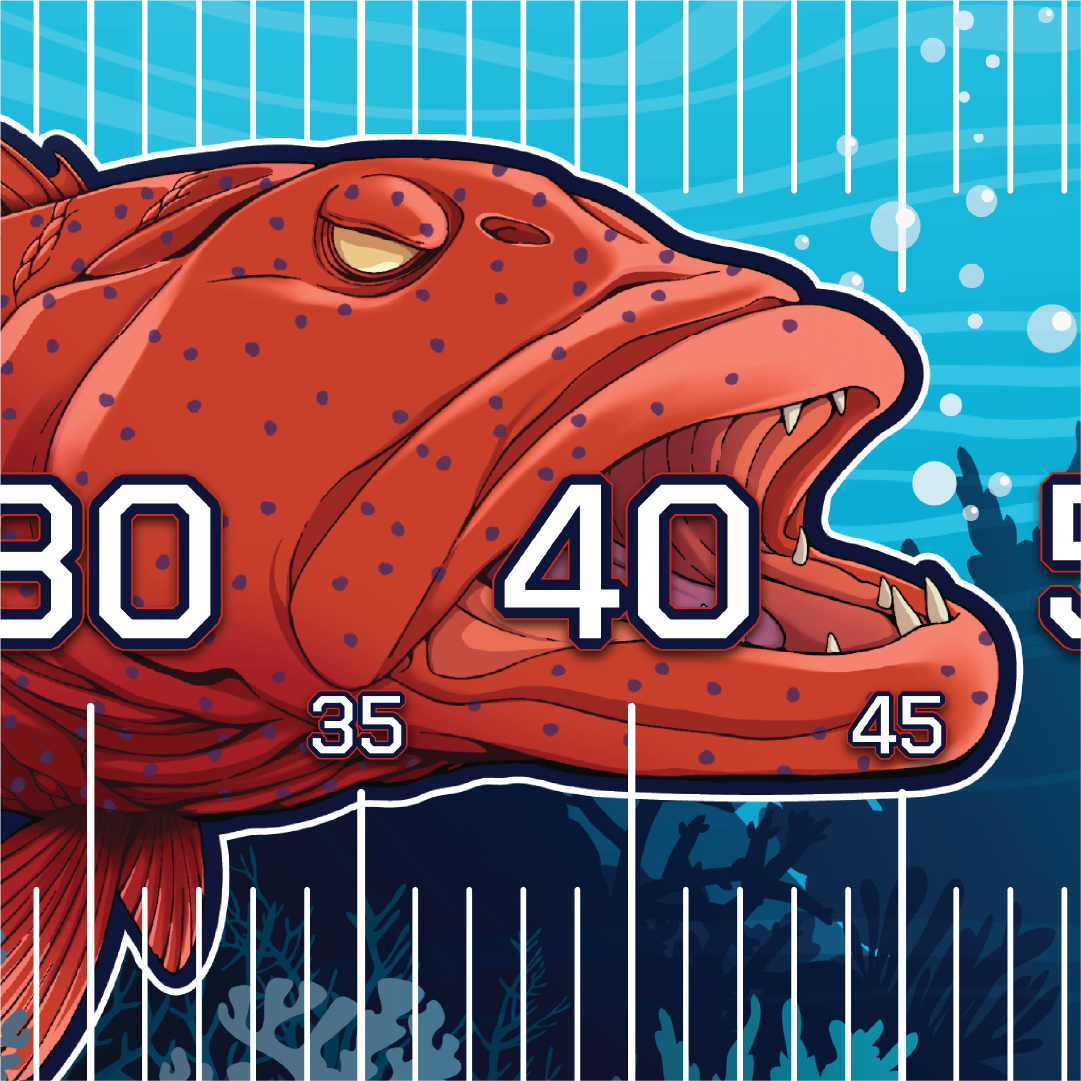 The Ambusha Brag Mat