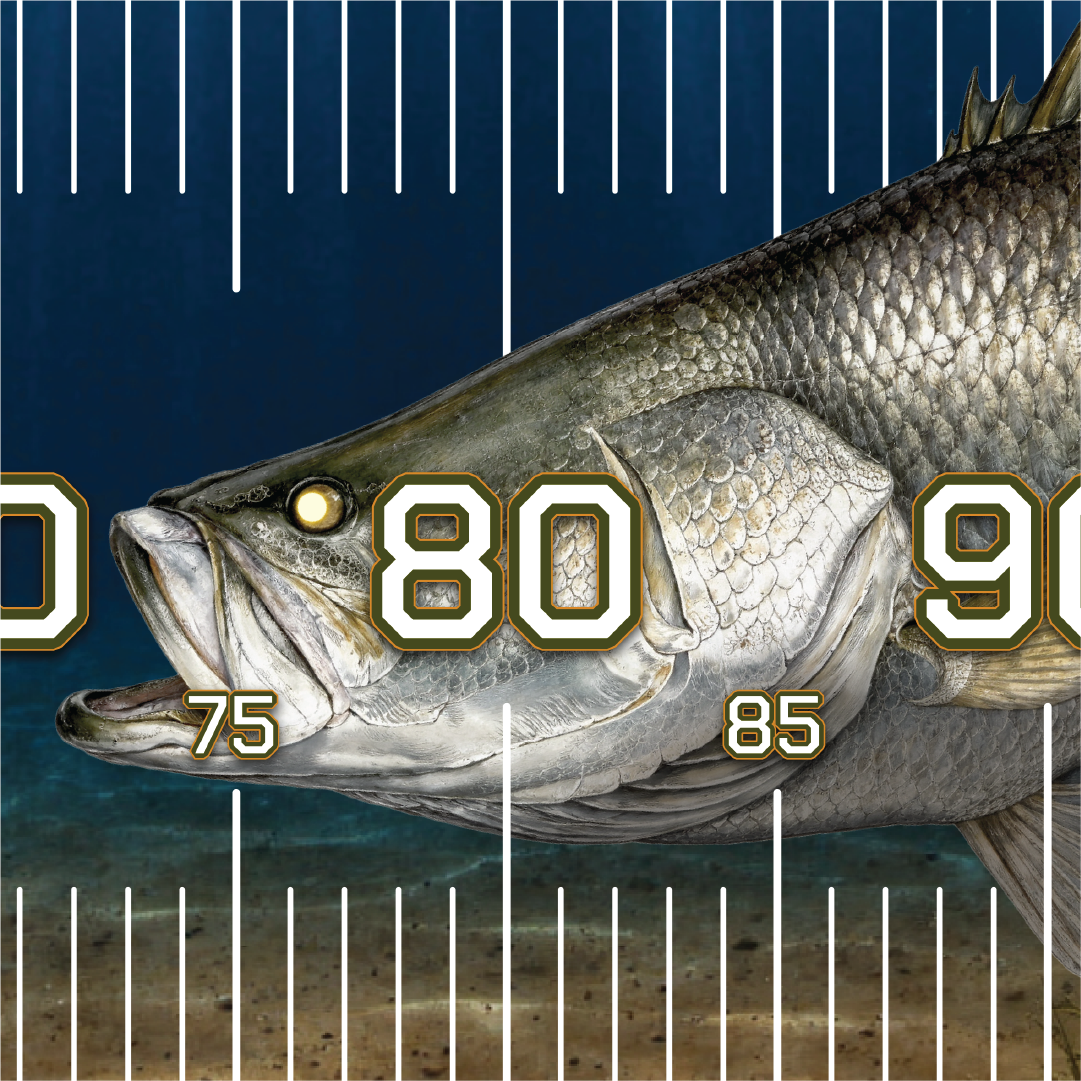 Barramundi Madness Brag Mat