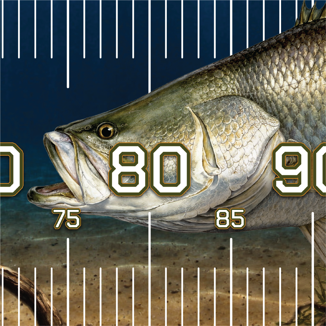 Barramundi Madness Brag Mat
