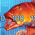 Coral Trout Brag Mat