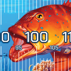 Coral Trout Brag Mat