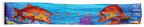 Coral Trout Brag Mat