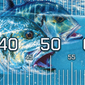 GT Brag Mat