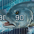 GT Brag Mat