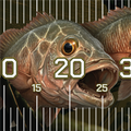 Mangrove Jack Brag Mat