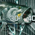 Metal Barramundi Brag Mat