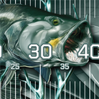 Metal Barramundi Brag Mat