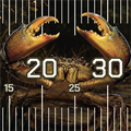 Mudcrab Muddafuqer Brag Mat