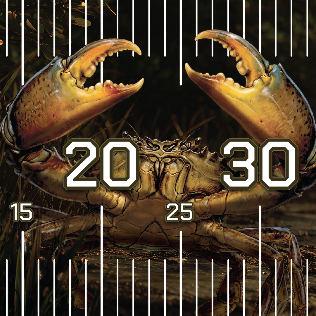 Mudcrab Muddafuqer Brag Mat