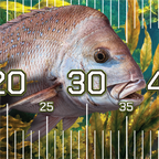 Pink Snapper Brag Mat