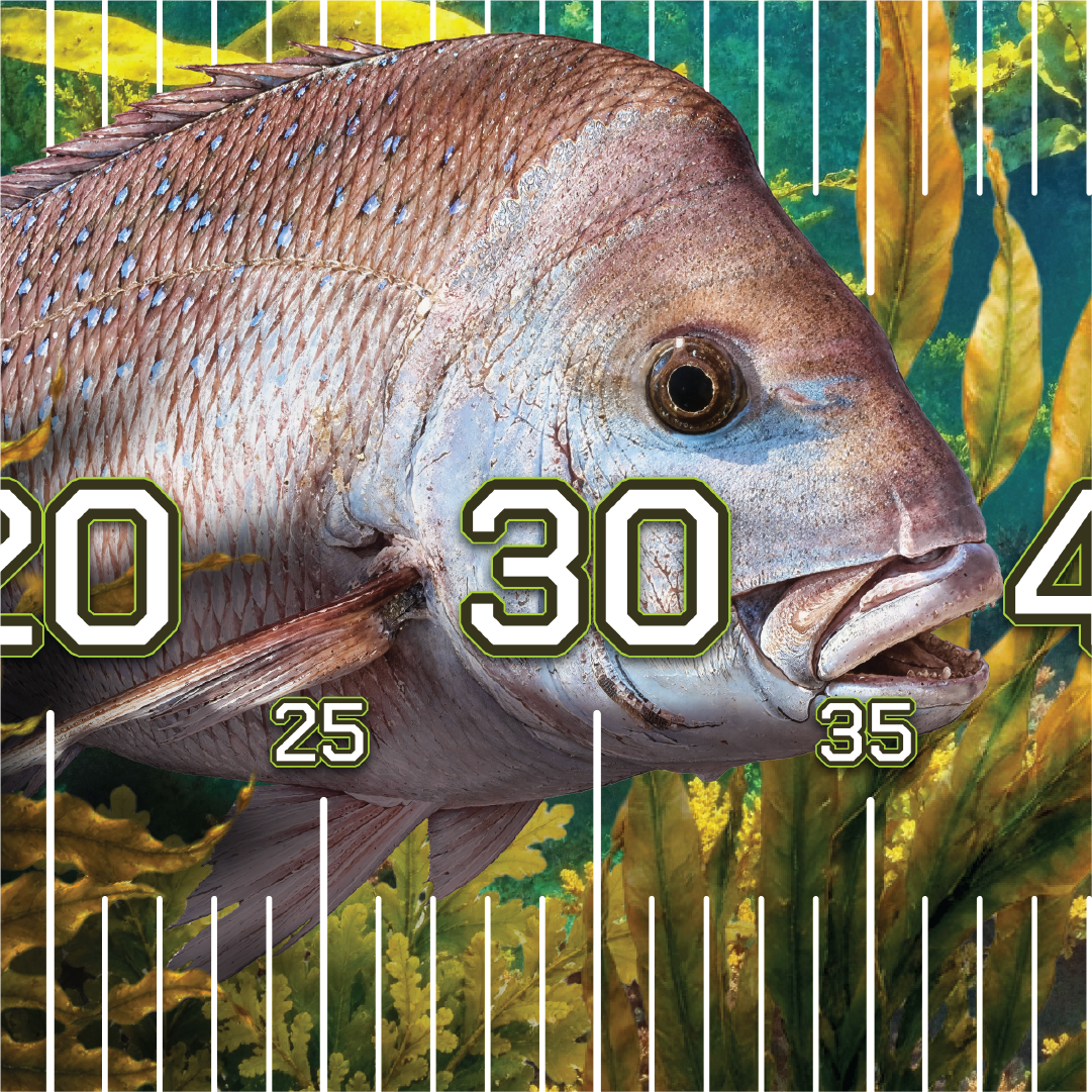 Pink Snapper Brag Mat