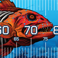 Undead Coral Trout Brag Mat